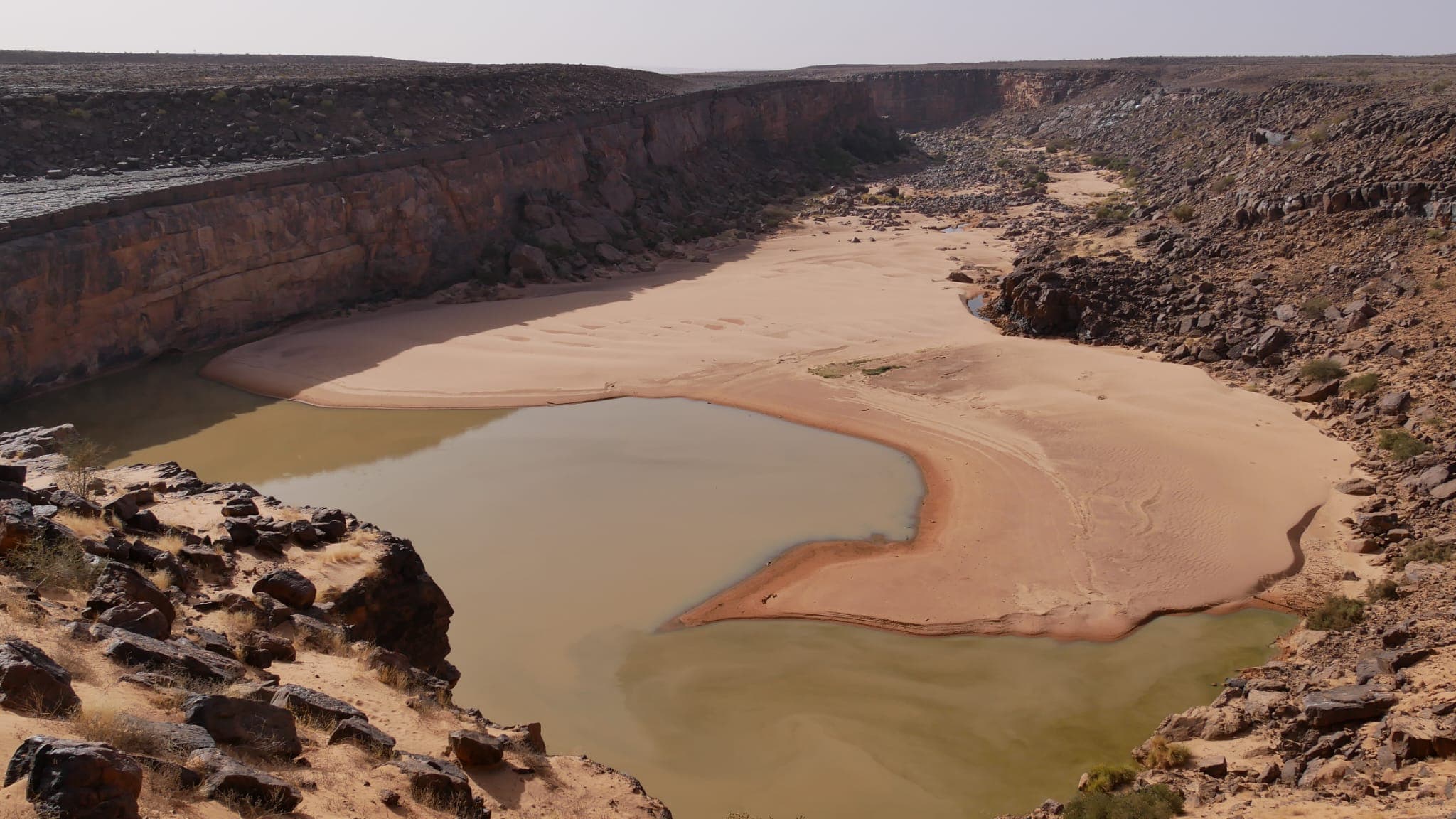 A remote green guelta surrounded by Mauritanian stone cliffs